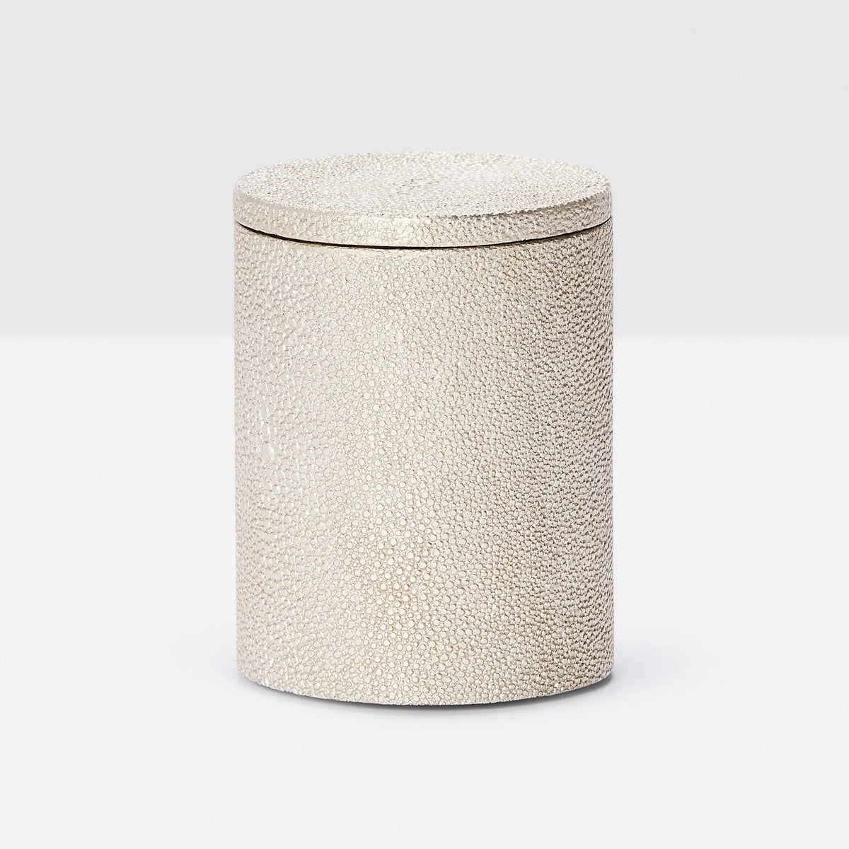 Pigeon and Poodle - PP001057 - Manchester Canister - Manchester - Warm Silver Realistic Faux Shagreen