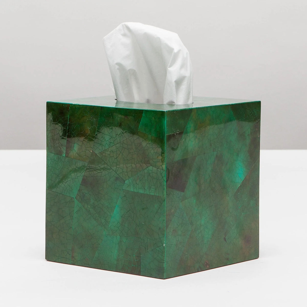 Pigeon and Poodle - PP001198 - Palm Beach Tissue Box - Palm - Emerald Shell