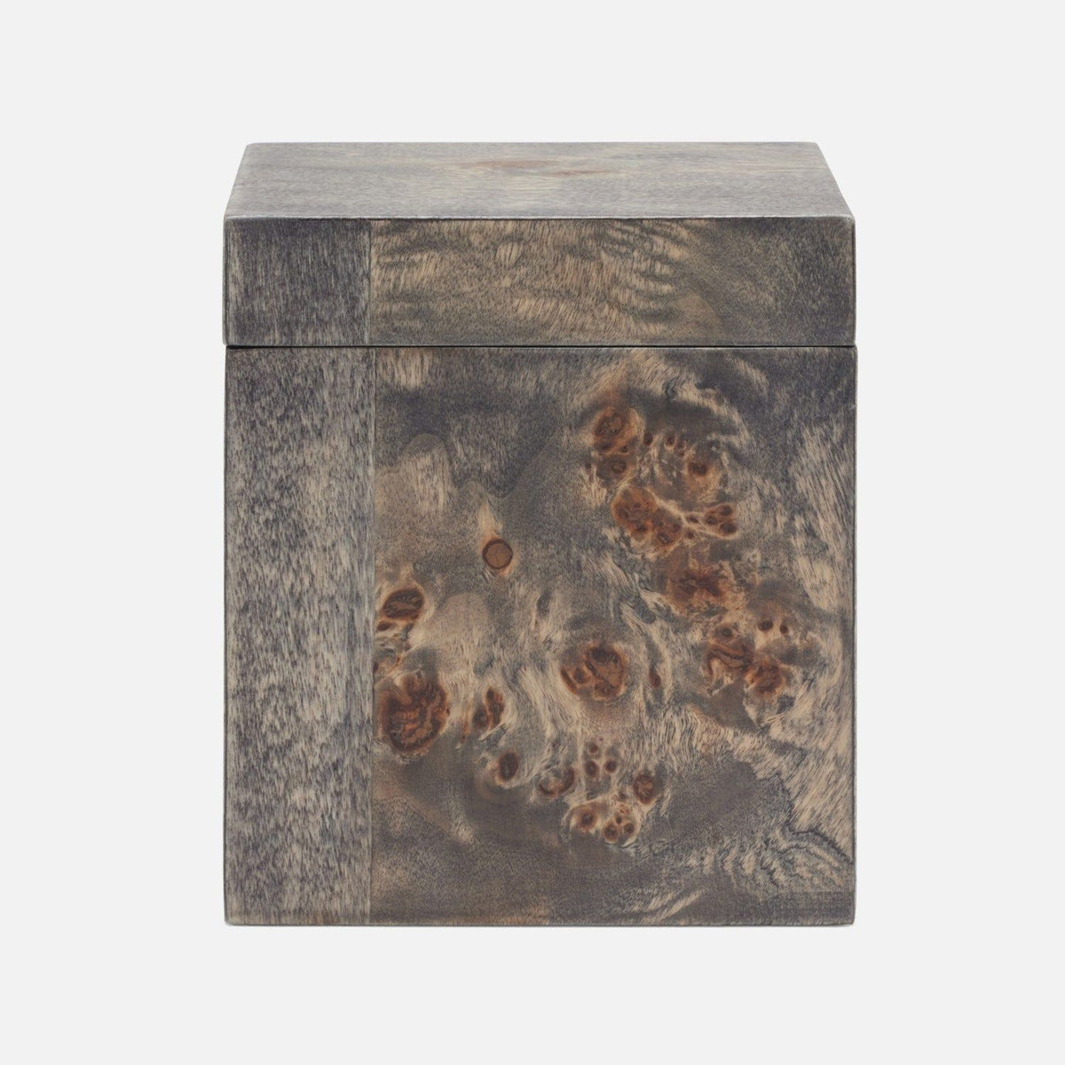 Pigeon and Poodle - PP006946 - Bern Canister - Bern - Ash Gray Mappa Burl