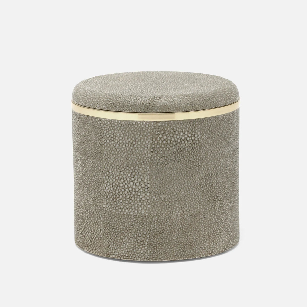 Pigeon and Poodle - PP005668 - Bradford Canister - Bradford - Sand Realistic Faux Shagreen/Gold Brass