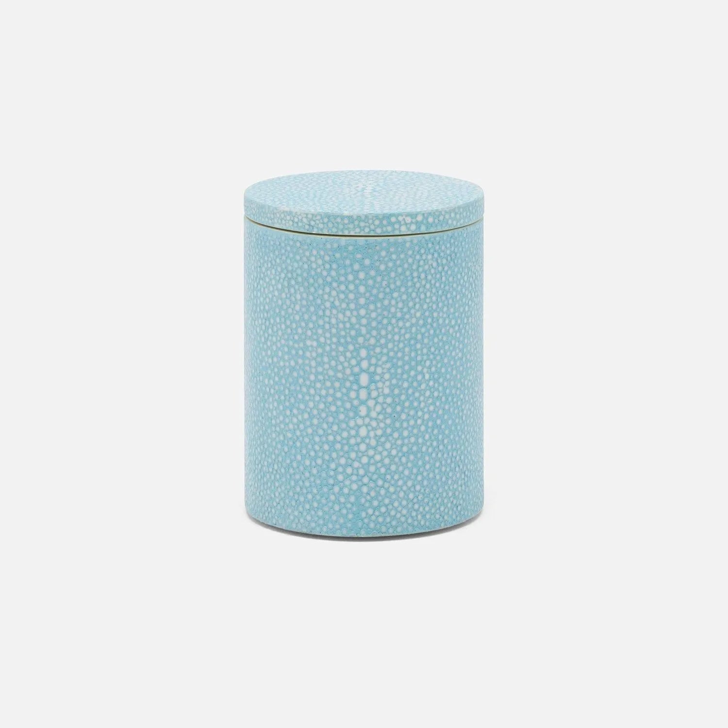 Pigeon and Poodle - PP007624 - Manchester Canister - Manchester - Powder Blue Realistic Faux Shagreen