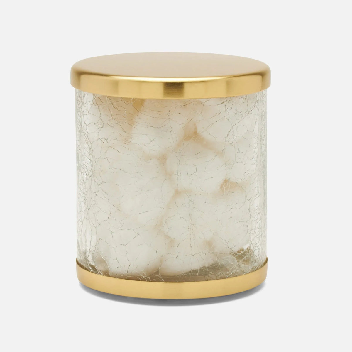 Pigeon and Poodle - PP004881 - Pomaria Canister - Pomaria - Brushed Gold Glass/Stainless Steel