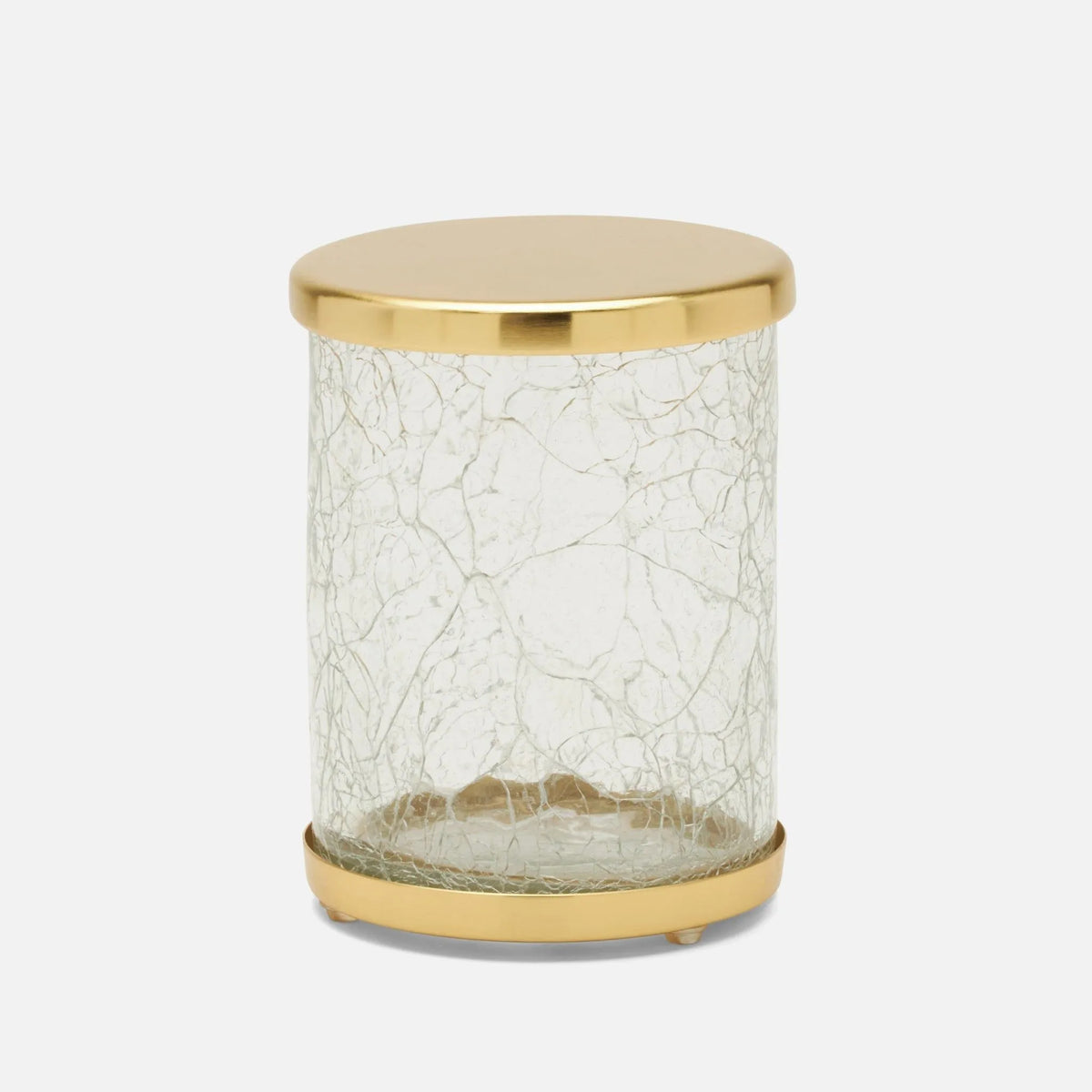 Pigeon and Poodle - PP004880 - Pomaria Canister - Pomaria - Brushed Gold Glass/Stainless Steel