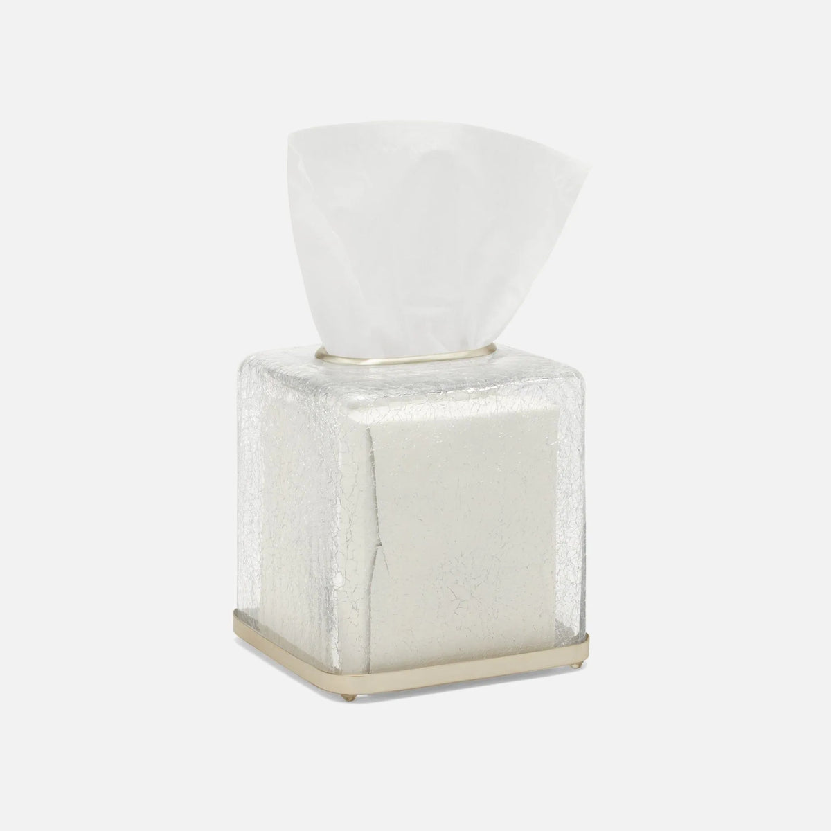 Pigeon and Poodle - PP004893 - Pomaria Tissue Box - Pomaria - Brushed Silver Glass/Stainless Steel