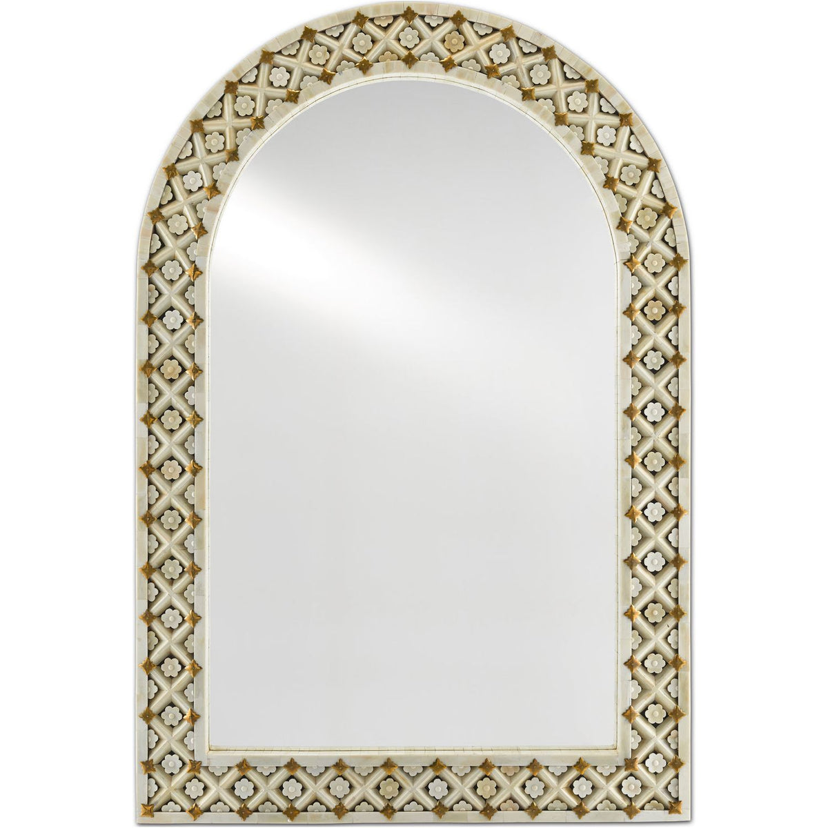 Currey and Company - 1000-0089 - Mirror - Ellaria - Natural Bone/Brass/Mirror