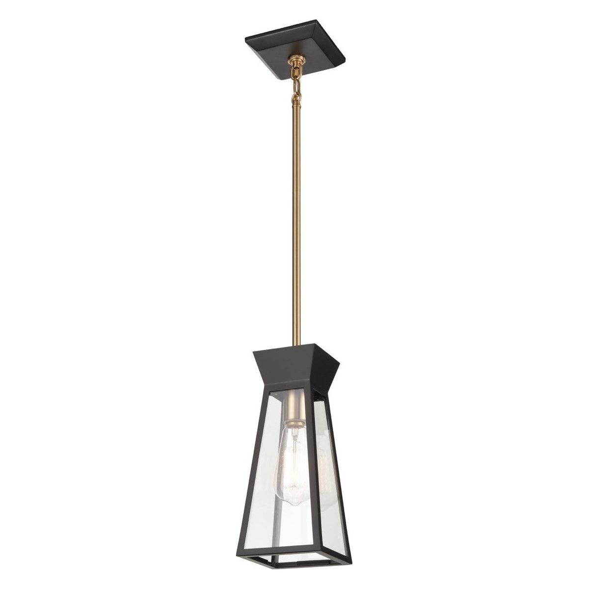 Artcraft Canada - AC11850BK - One Light Pendant - Lucian - Black and Brushed Brass