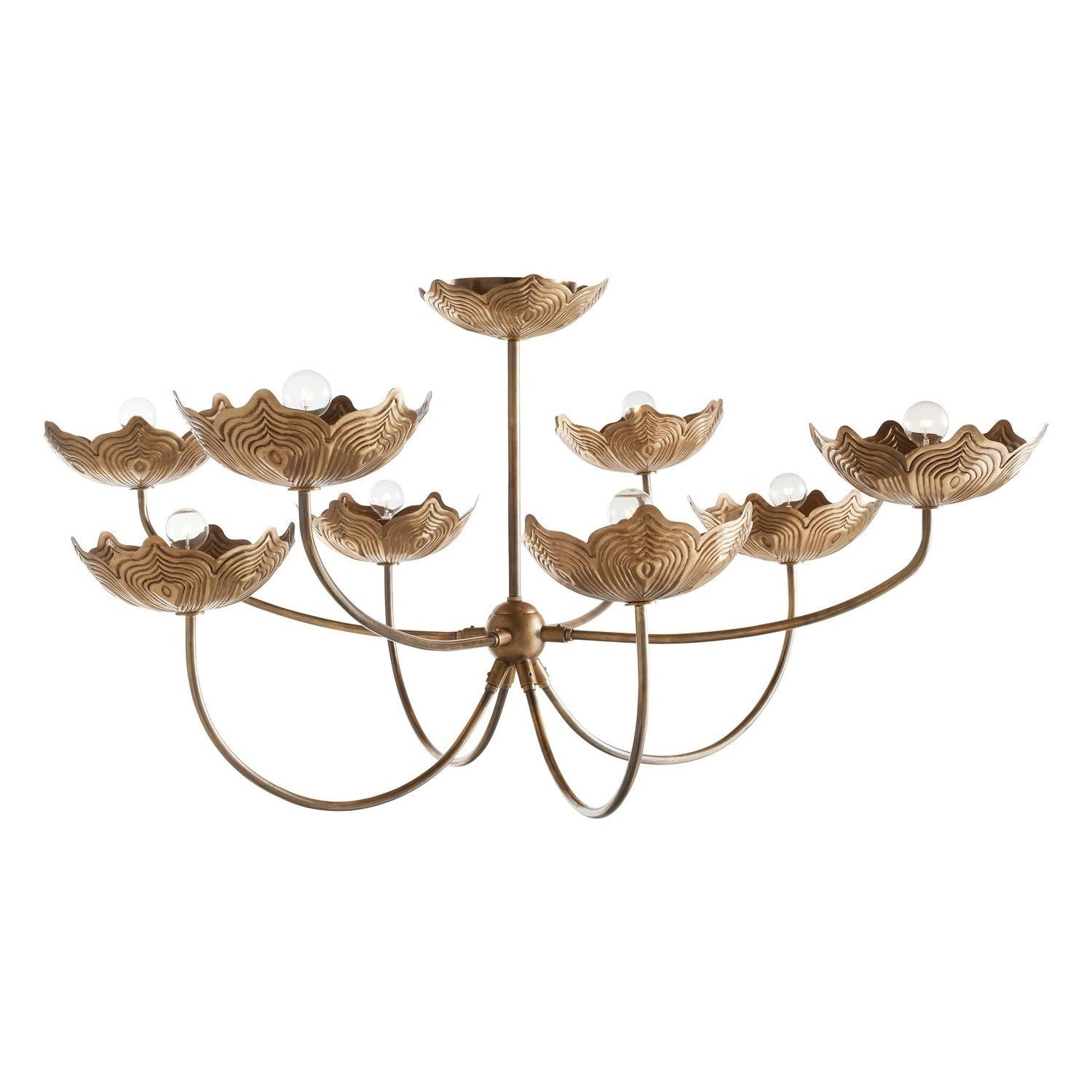 Arteriors - DLI06 - Eight Light Chandelier - Encinitas - Antique Brass/Antique Brass