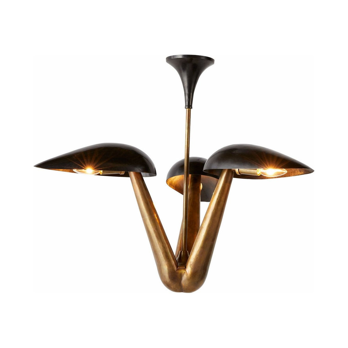 Arteriors - DMI11 - Three Light Chandelier - Everglades - Blackened Iron/Antique Brass