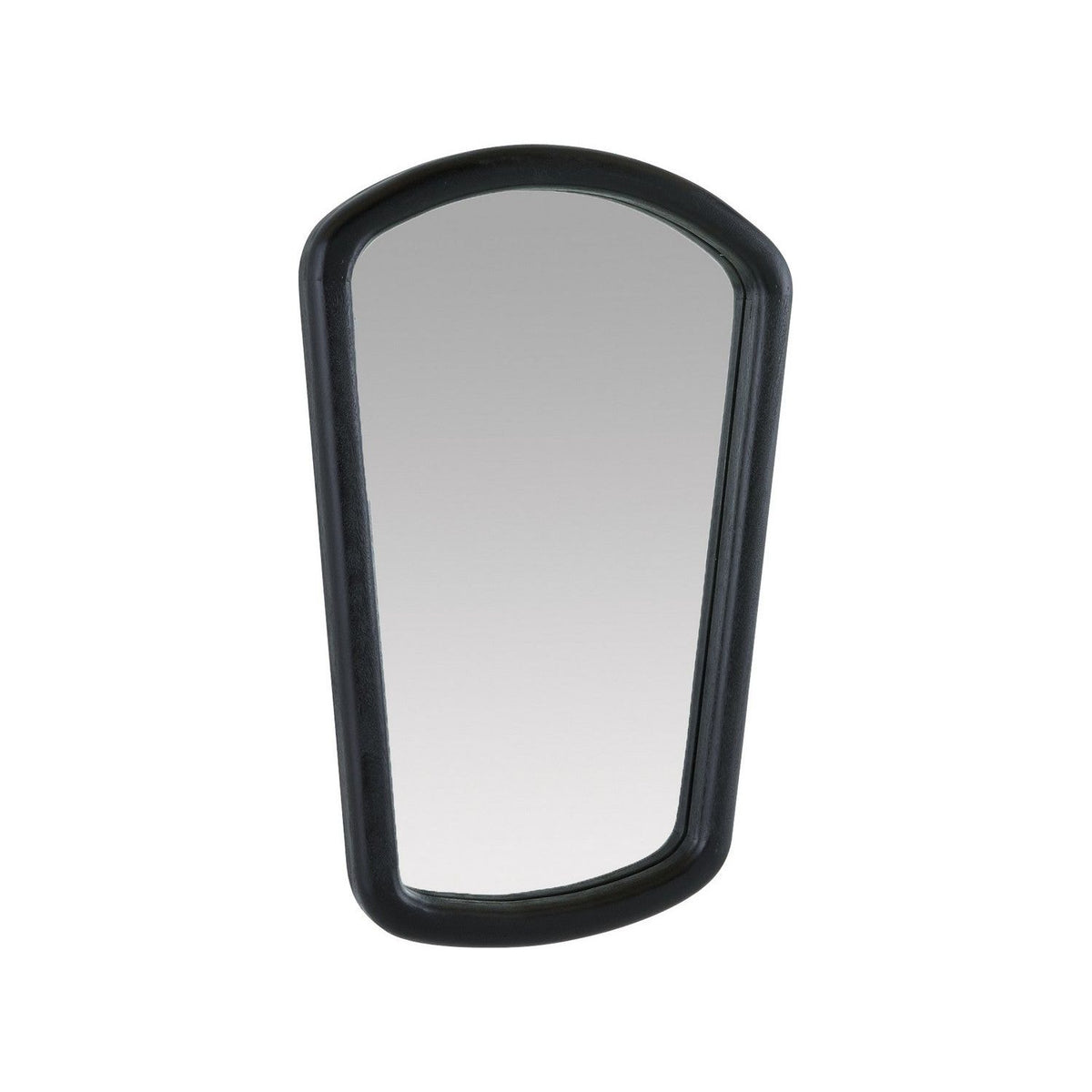 Arteriors - WMI47 - Mirror - Dyer - Ebony/Plain