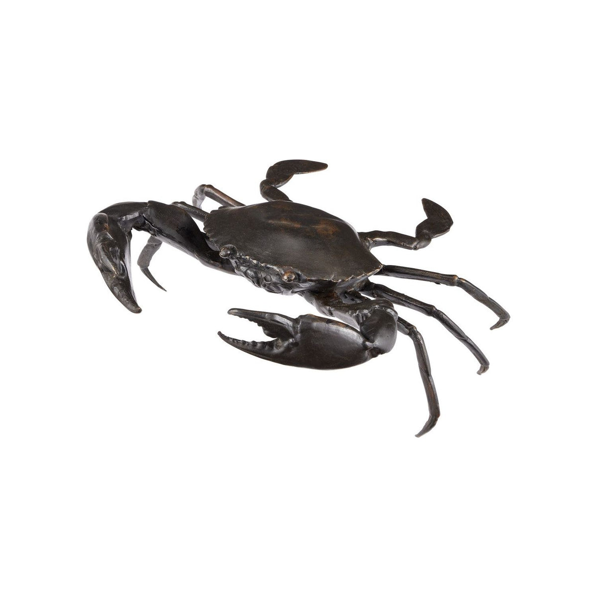 Currey and Company - 1200-0957 - Crab - Dark Brown