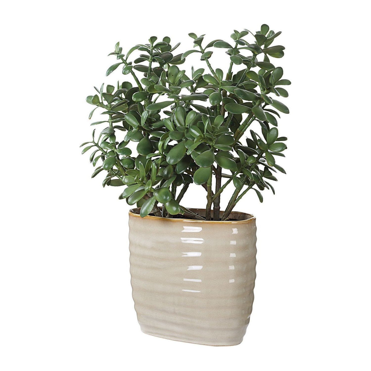 Uttermost - 60226 - Accent Plant - Crassula Jade - Textured Tan