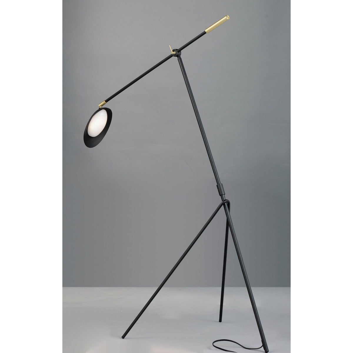 Scan LED Floor Lamp