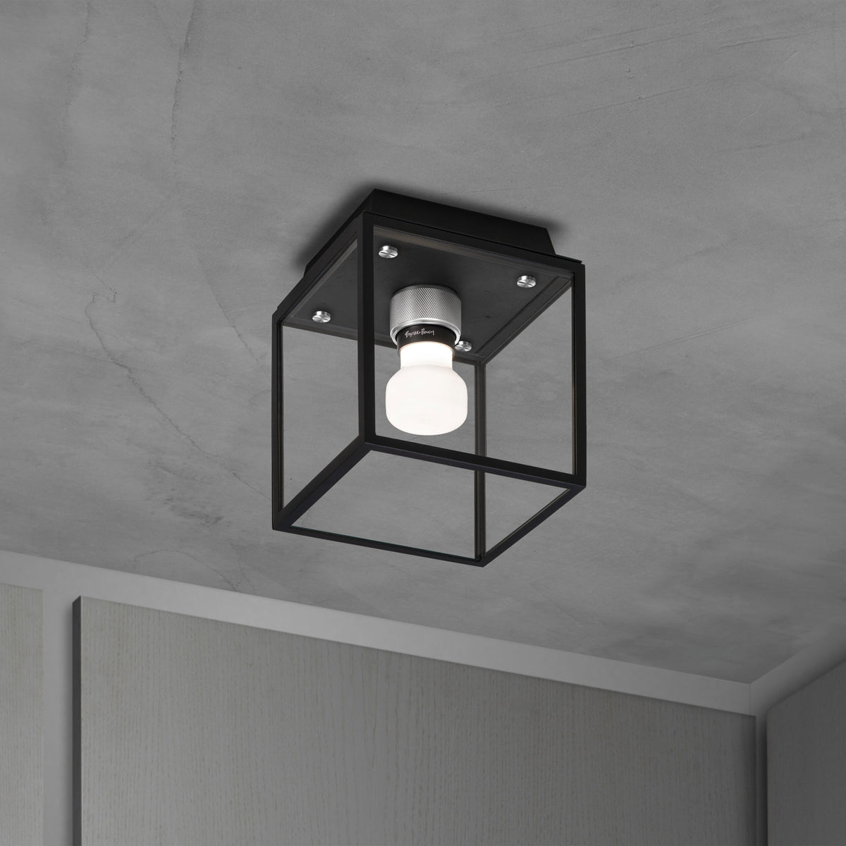Buster + Punch - NCA-473536 - Caged Wet Ceiling Light - Caged Wet - Black / Steel