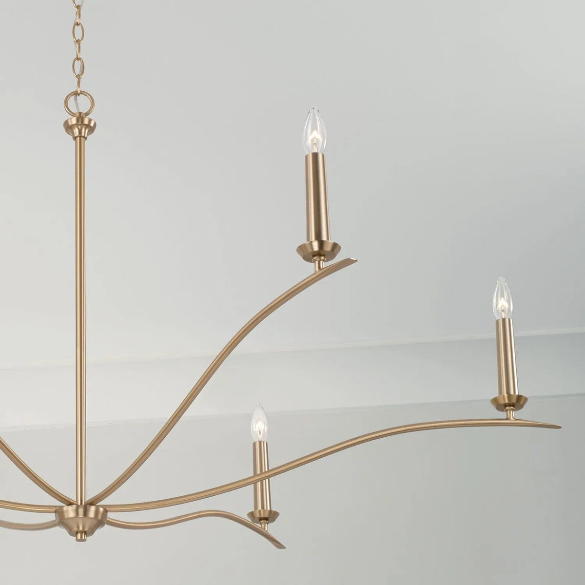 Capital Lighting Fixture Company - Grady Chandelier - 450661BI | Montreal Lighting & Hardware