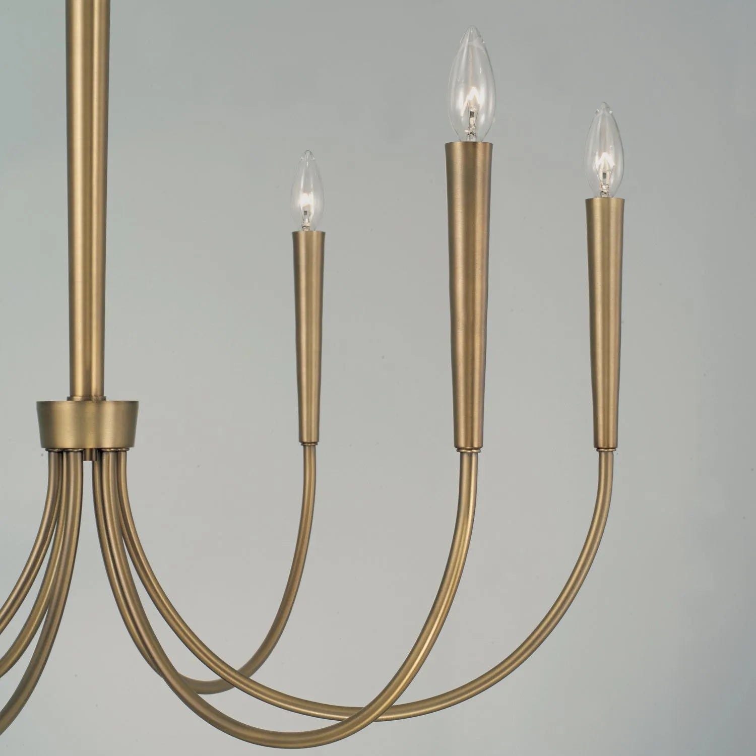 Capital Lighting Fixture Company - Holden Chandelier - 445961AD | Montreal Lighting & Hardware