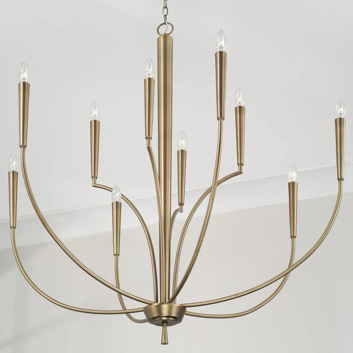 Capital Lighting Fixture Company - Holden Chandelier - 445961AD | Montreal Lighting & Hardware