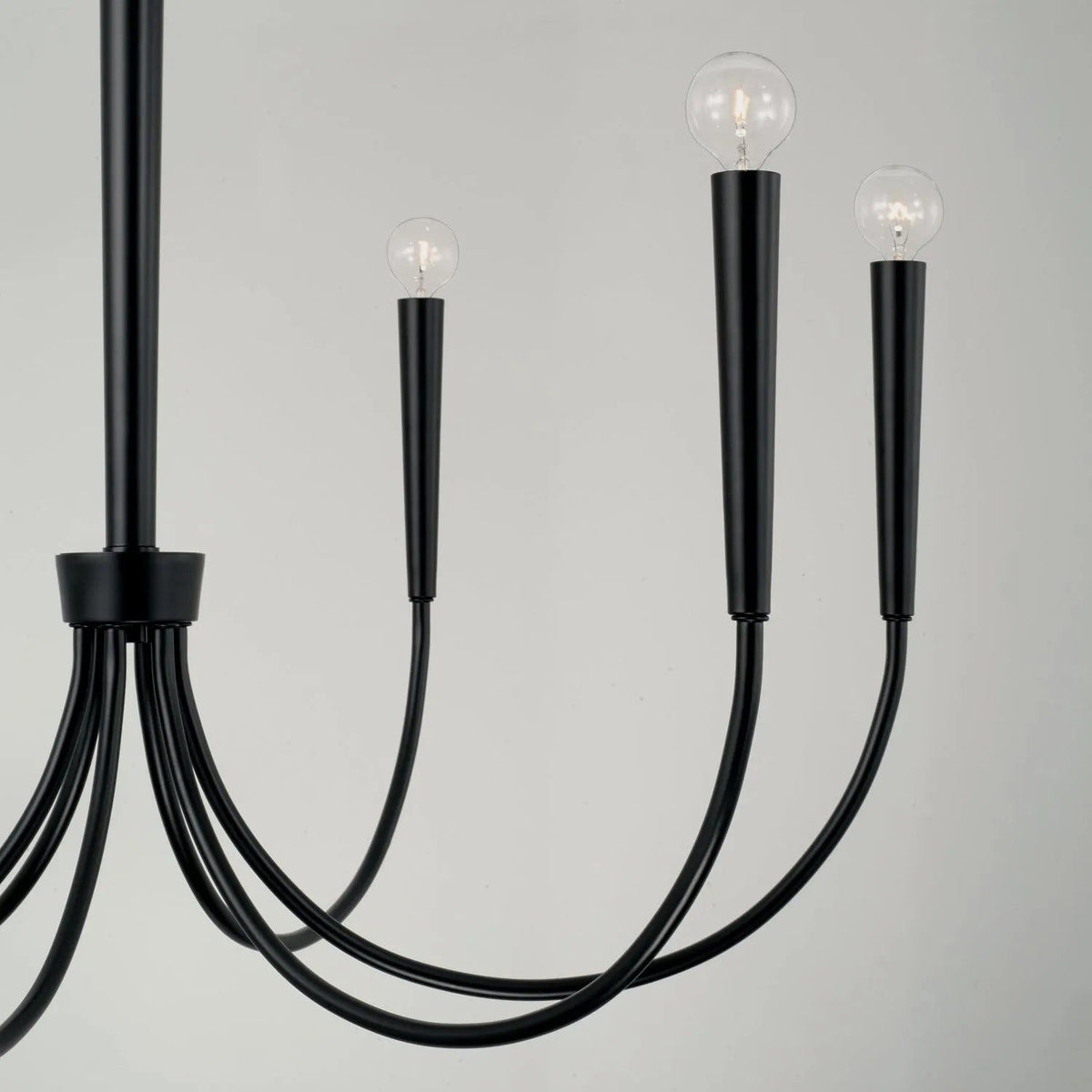 Capital Lighting Fixture Company - Holden Chandelier - 445961AD | Montreal Lighting & Hardware