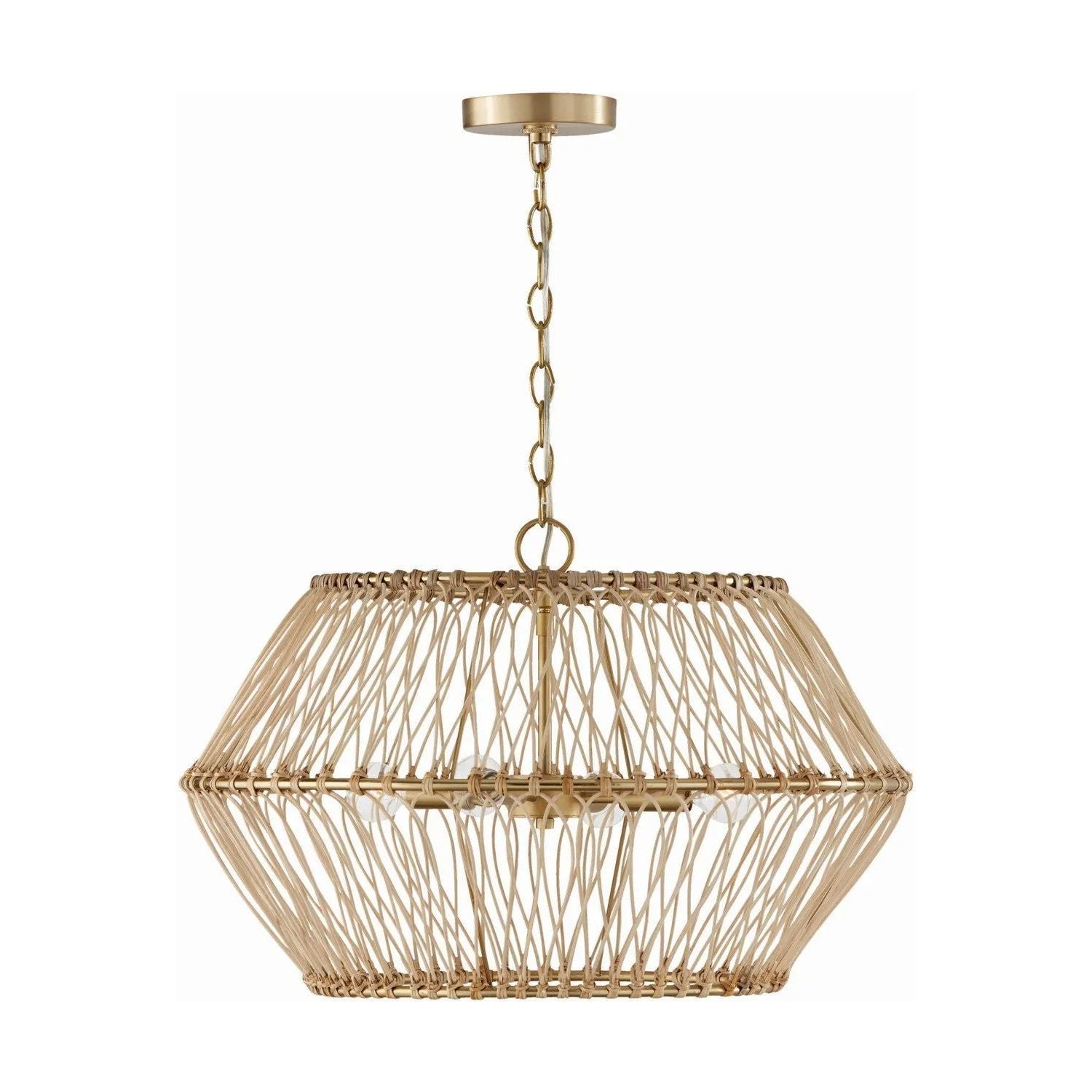 Capital Lighting Fixture Company - Wren Pendant - 344142MA | Montreal Lighting & Hardware