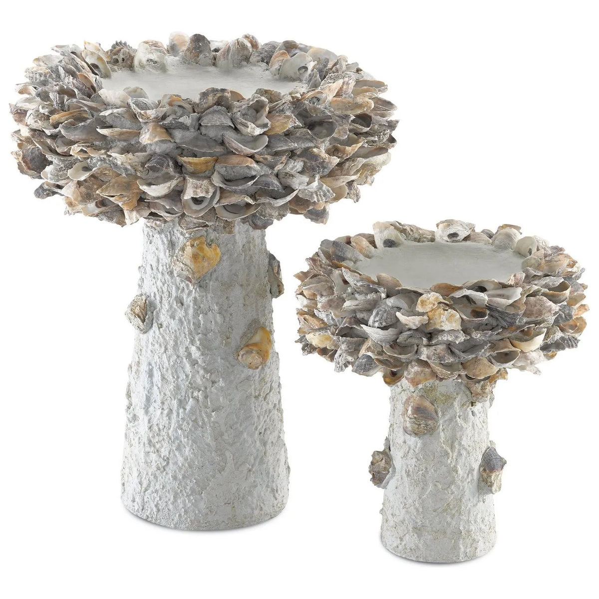 Currey and Company - Oyster Shell Bird Bath - 1200-0052 | Montreal Lighting & Hardware