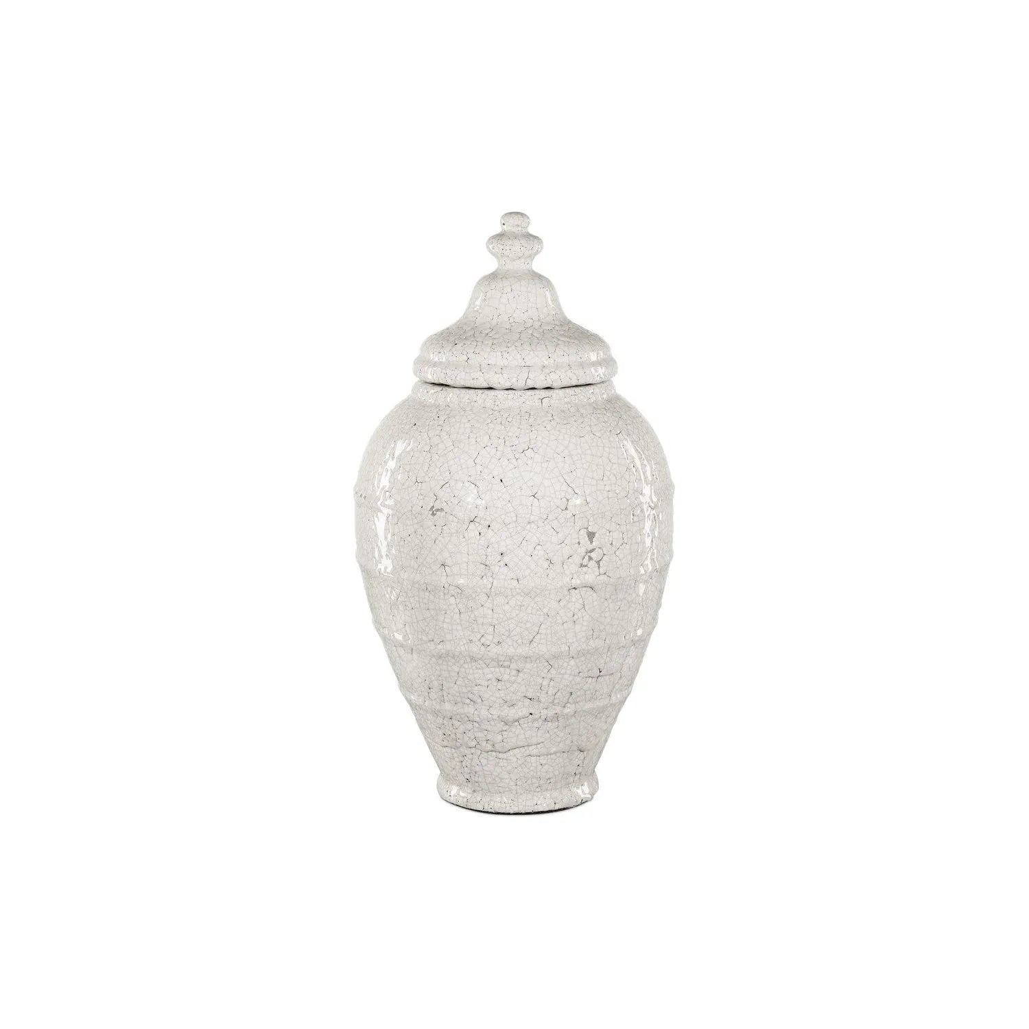 Currey and Company - Virginal Jar - 1200-0884 | Montreal Lighting & Hardware