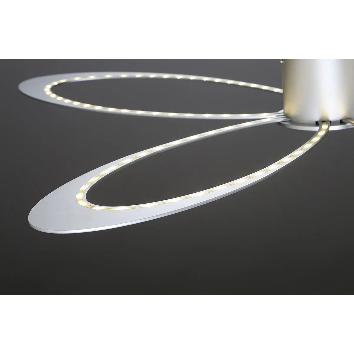 Eurofase - Olga LED Wall Sconce - 34114-018 | Montreal Lighting & Hardware