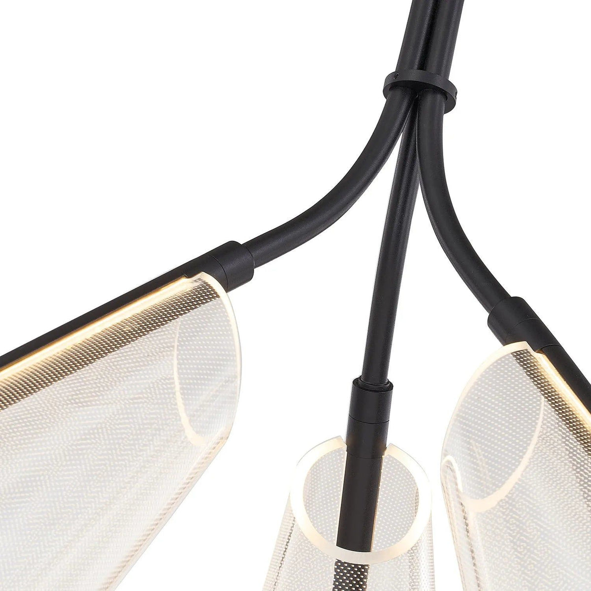 Kuzco Lighting - Mulberry LED Triple Pendant - PD62622-BG/LG | Montreal Lighting & Hardware