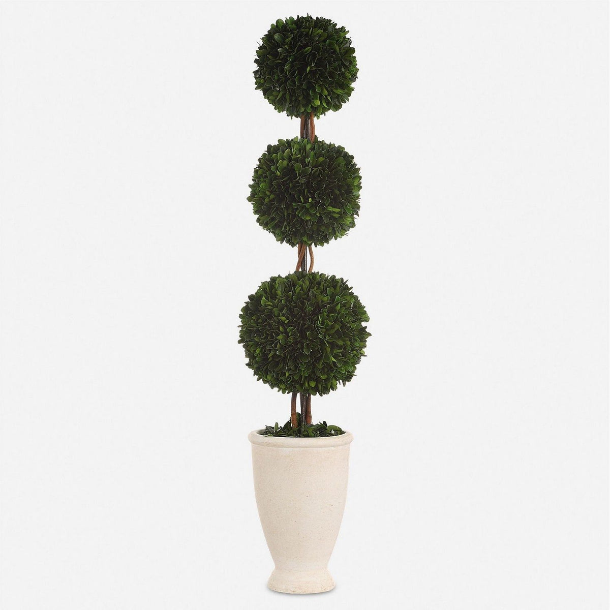 Uttermost - 60223 - Triple Topiary - Preserved Boxwood - Terracotta