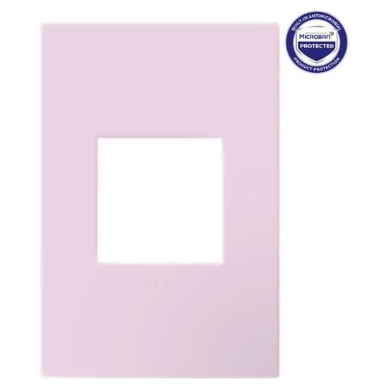 Legrand Canada - AWP1G2RA - Wall Plate