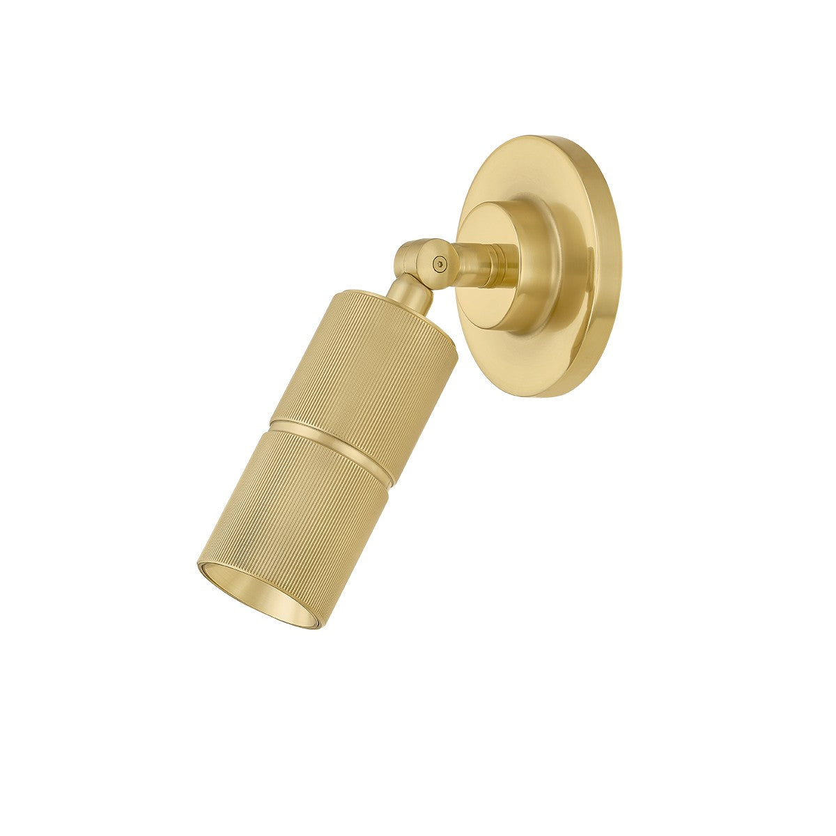 Hudson Valley - 9810-AGB - LED Wall Sconce - Truett - Aged Brass