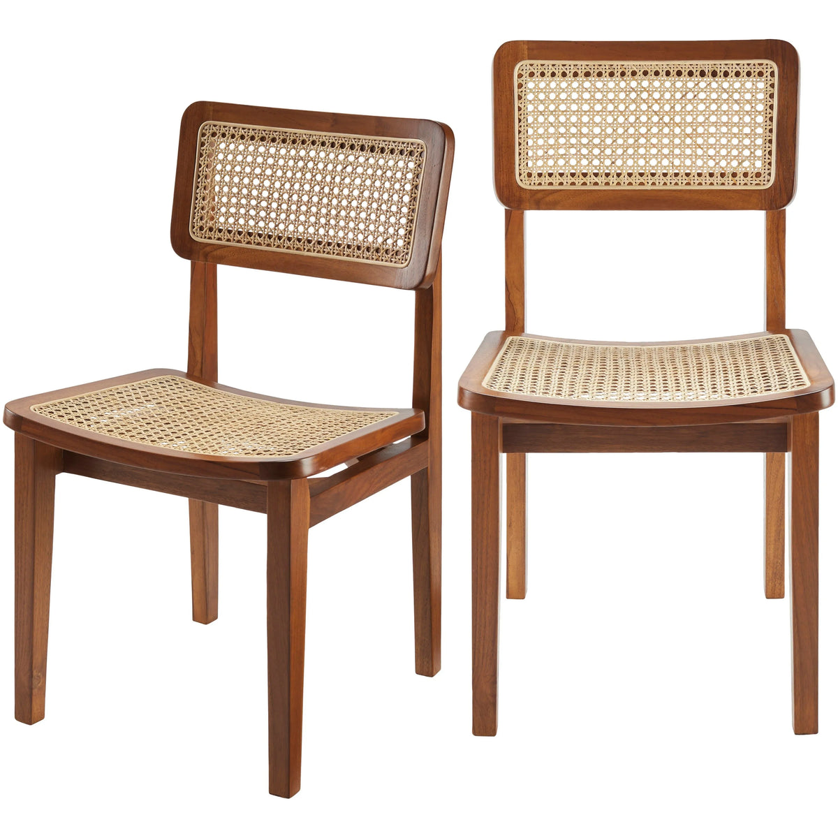 Surya - Arxan Dining Chair - ARX001-SET | Montreal Lighting & Hardware