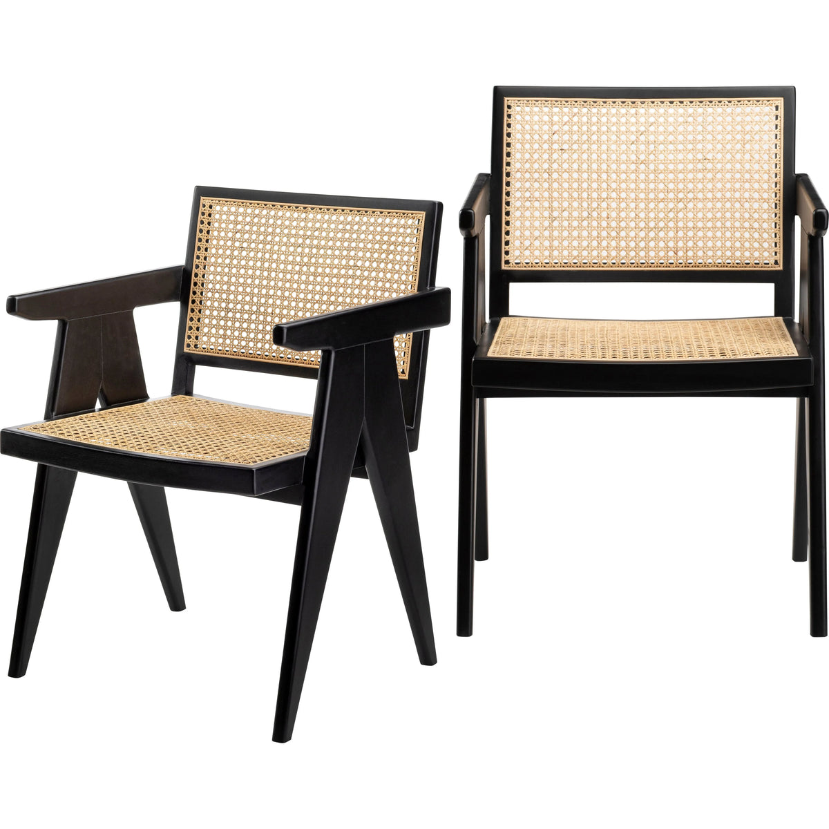 Surya - Hague Dining Chair - HAG003-SET | Montreal Lighting & Hardware