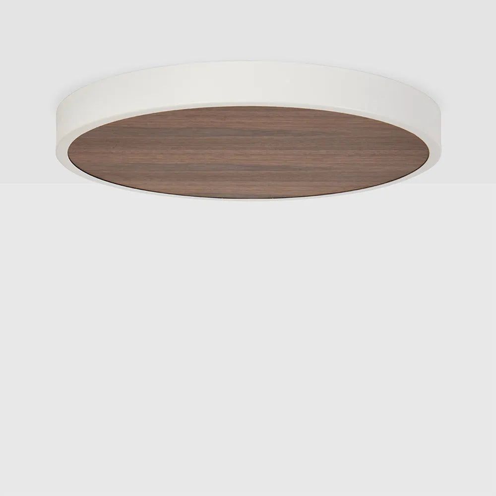 Tala - Large Canopy - CP-WALT-LRG-01-US | Montreal Lighting & Hardware