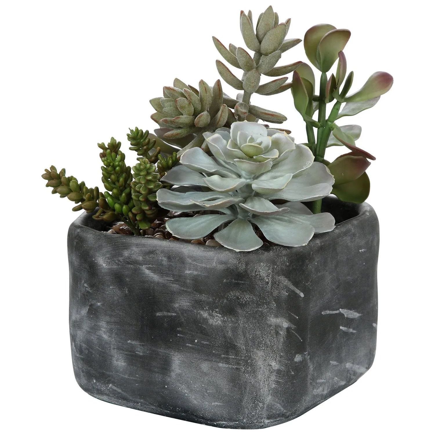 The Uttermost - Alverio Succulents - 60173 | Montreal Lighting & Hardware