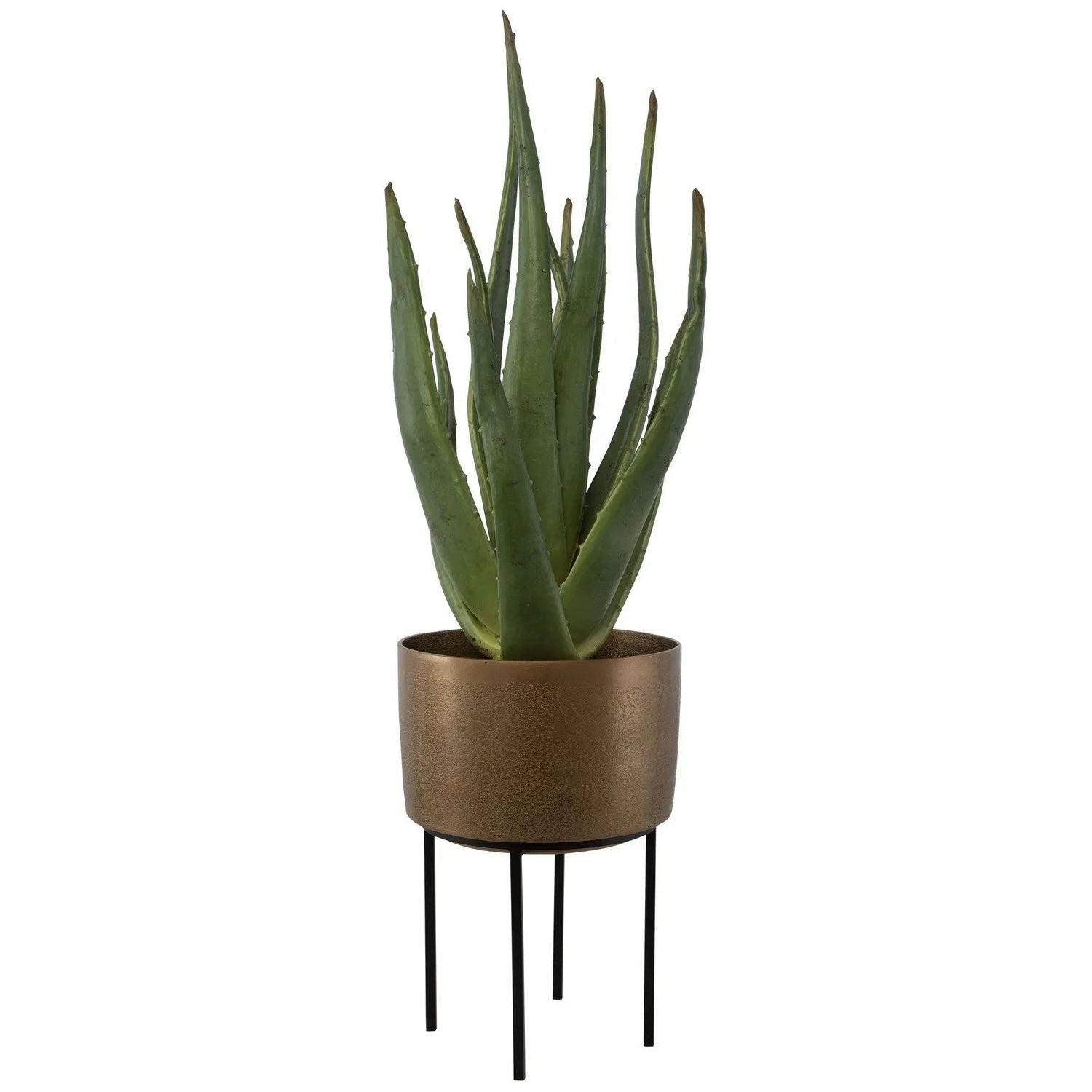 The Uttermost - Arabia Planter - 60217 | Montreal Lighting & Hardware