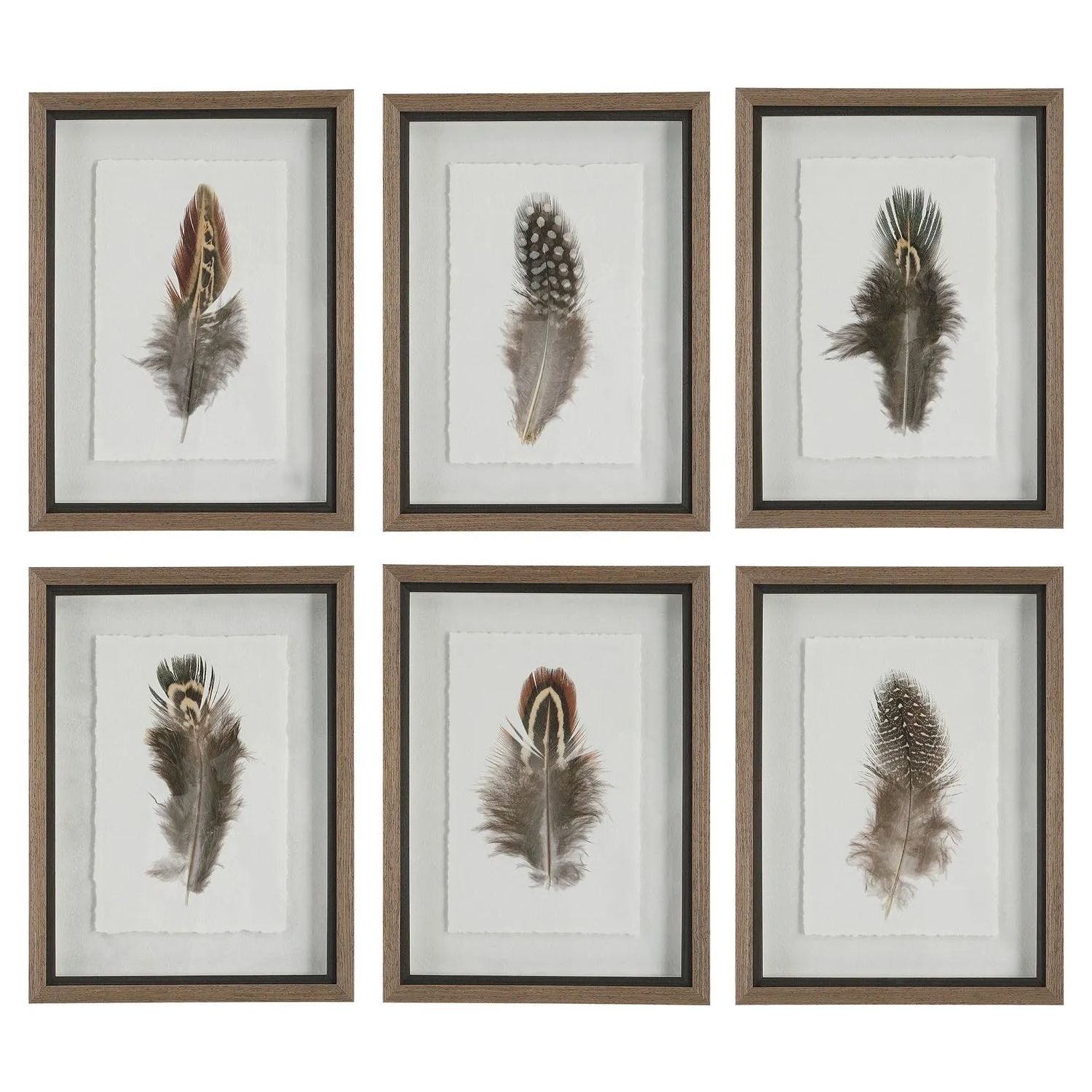 The Uttermost - Birds Of A Feather Framed Prints, S/6 - 41460 | Montreal Lighting & Hardware