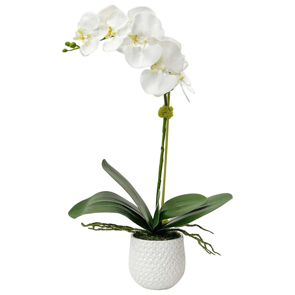 The Uttermost - Cami Orchid Orchid - 60178 | Montreal Lighting & Hardware