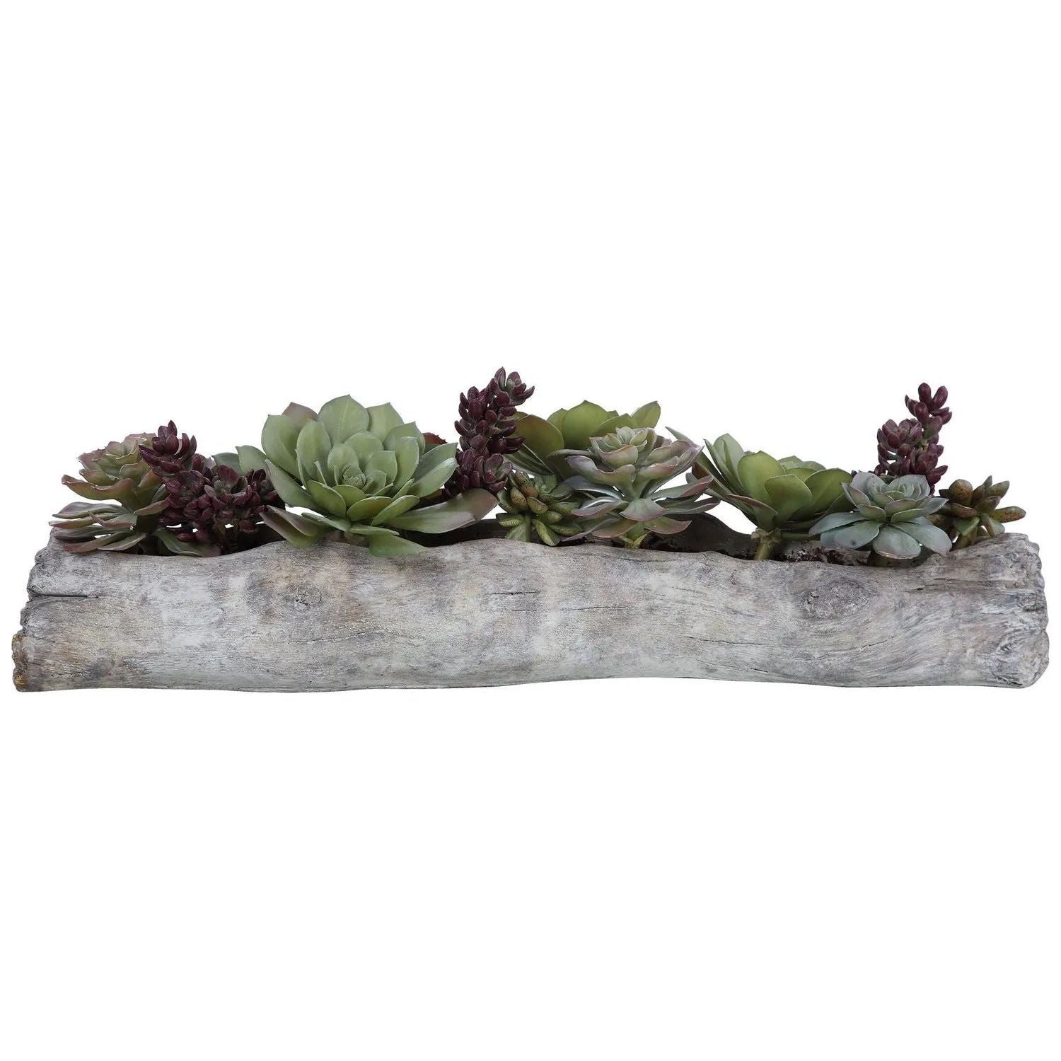 The Uttermost - Charita Succulents - 60174 | Montreal Lighting & Hardware