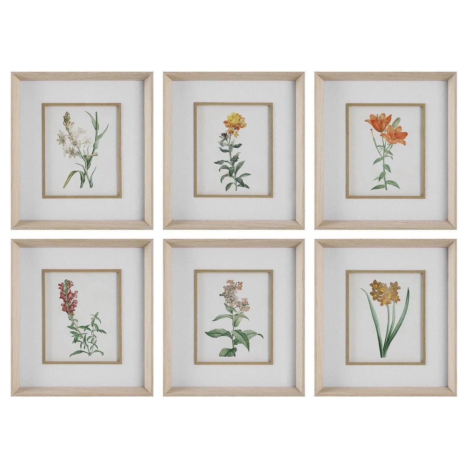 The Uttermost - Classic Botanicals Framed Prints Set/6 - 32284 | Montreal Lighting & Hardware