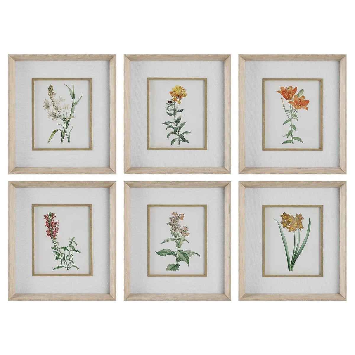 The Uttermost - Classic Botanicals Framed Prints Set/6 - 32284 | Montreal Lighting & Hardware