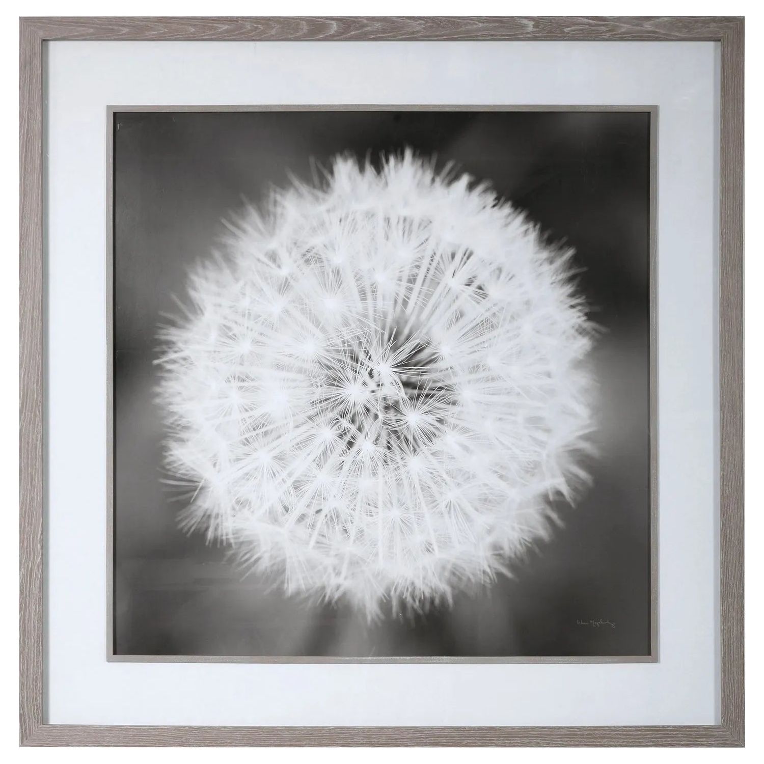 The Uttermost - Dandelion Seedhead Framed Print - 33711 | Montreal Lighting & Hardware