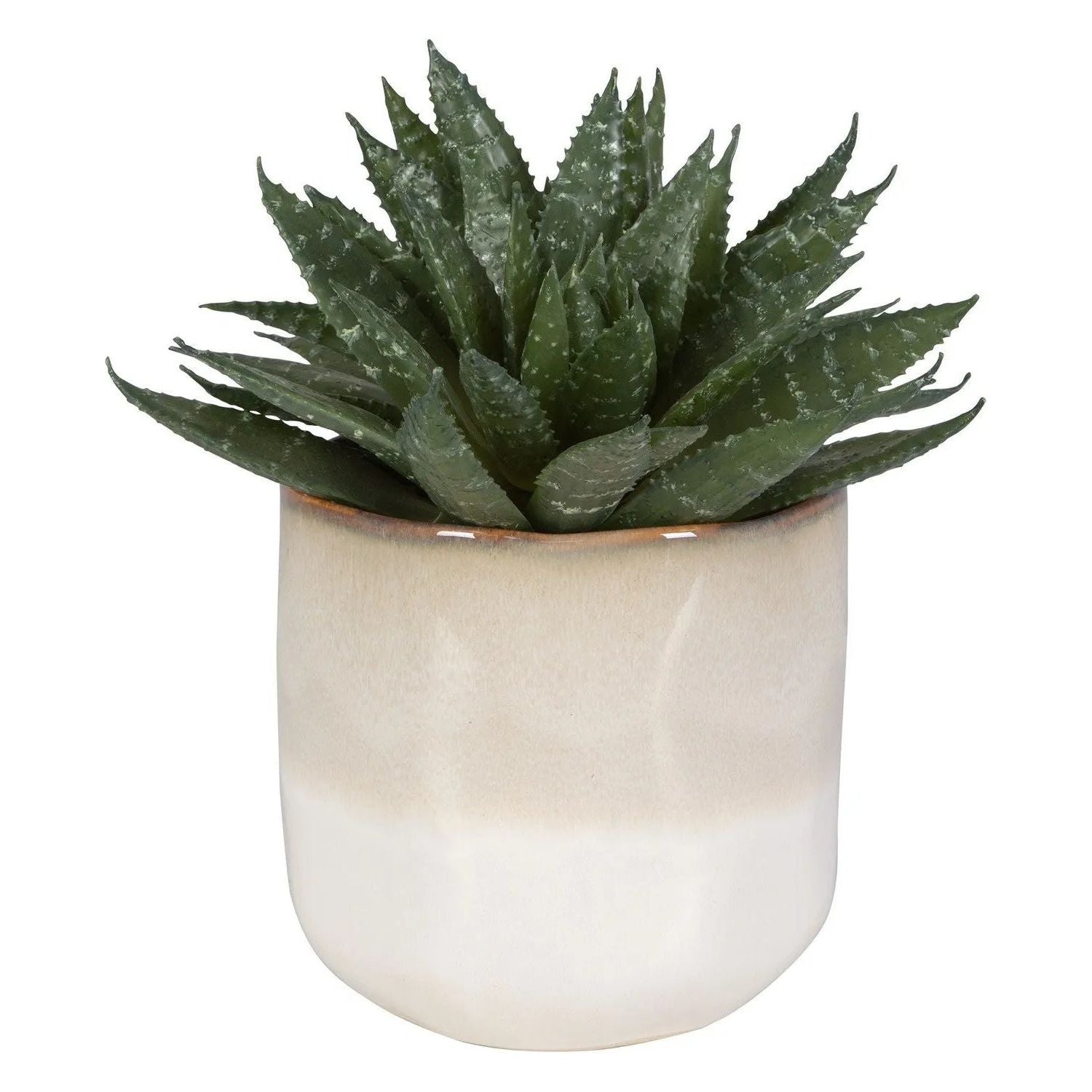 The Uttermost - Doha Succulent Accent - 60213 | Montreal Lighting & Hardware