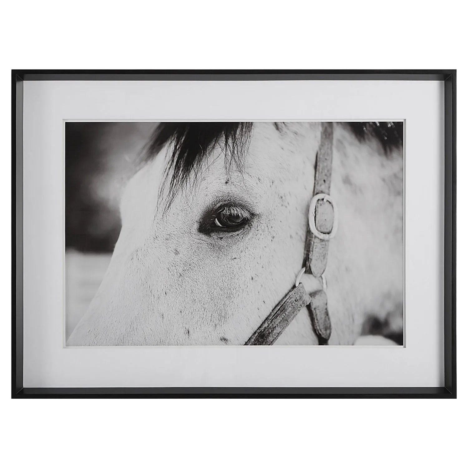 The Uttermost - Eye Of The Beholder Framed Print - 41463 | Montreal Lighting & Hardware