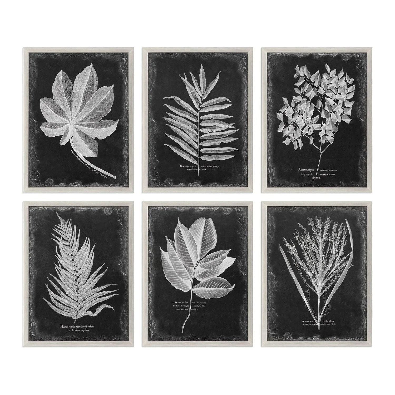 The Uttermost - Foliage Wall Art - 33671 | Montreal Lighting & Hardware