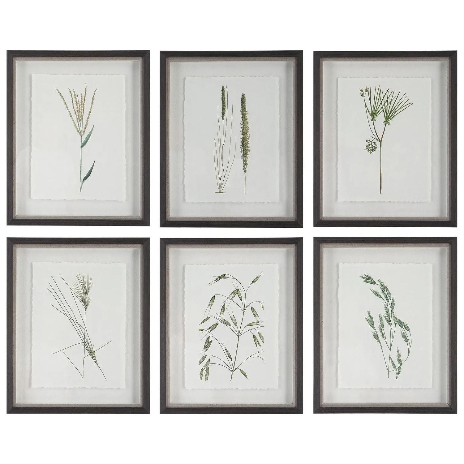 The Uttermost - Forest Finds Framed Prints, S/6 - 41459 | Montreal Lighting & Hardware