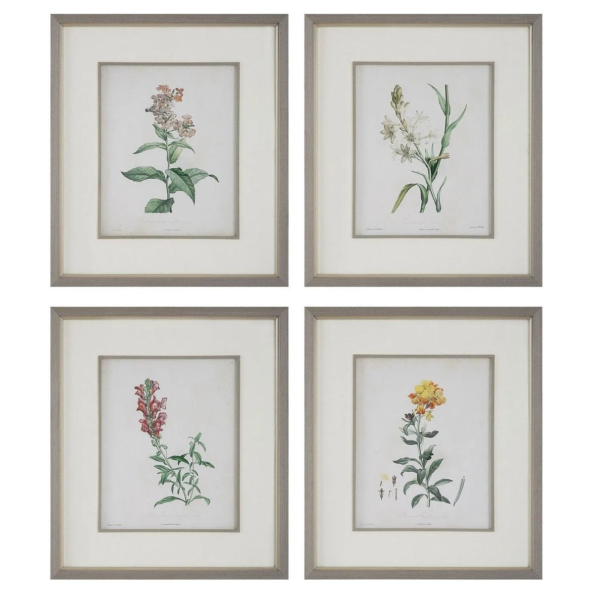 The Uttermost - Heirloom Blooms Framed Prints Set/4 - 32285 | Montreal Lighting & Hardware