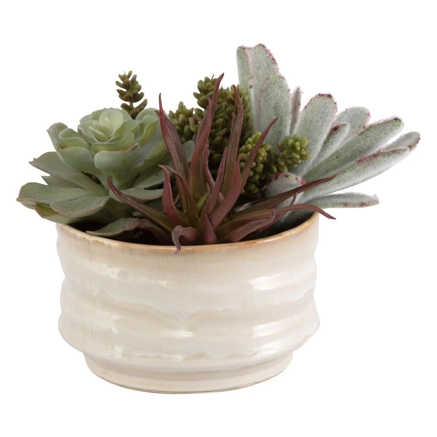 The Uttermost - Mesa Succulent Succulent Accent - 60209 | Montreal Lighting & Hardware