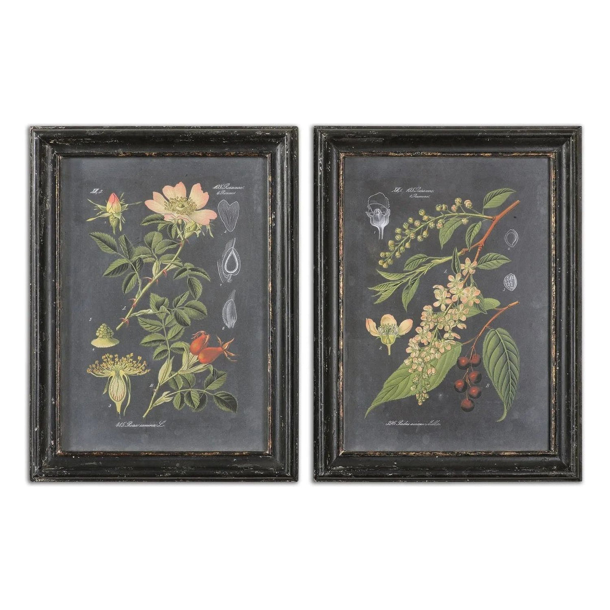 The Uttermost - Midnight Botanicals Wall Art - 56053 | Montreal Lighting & Hardware