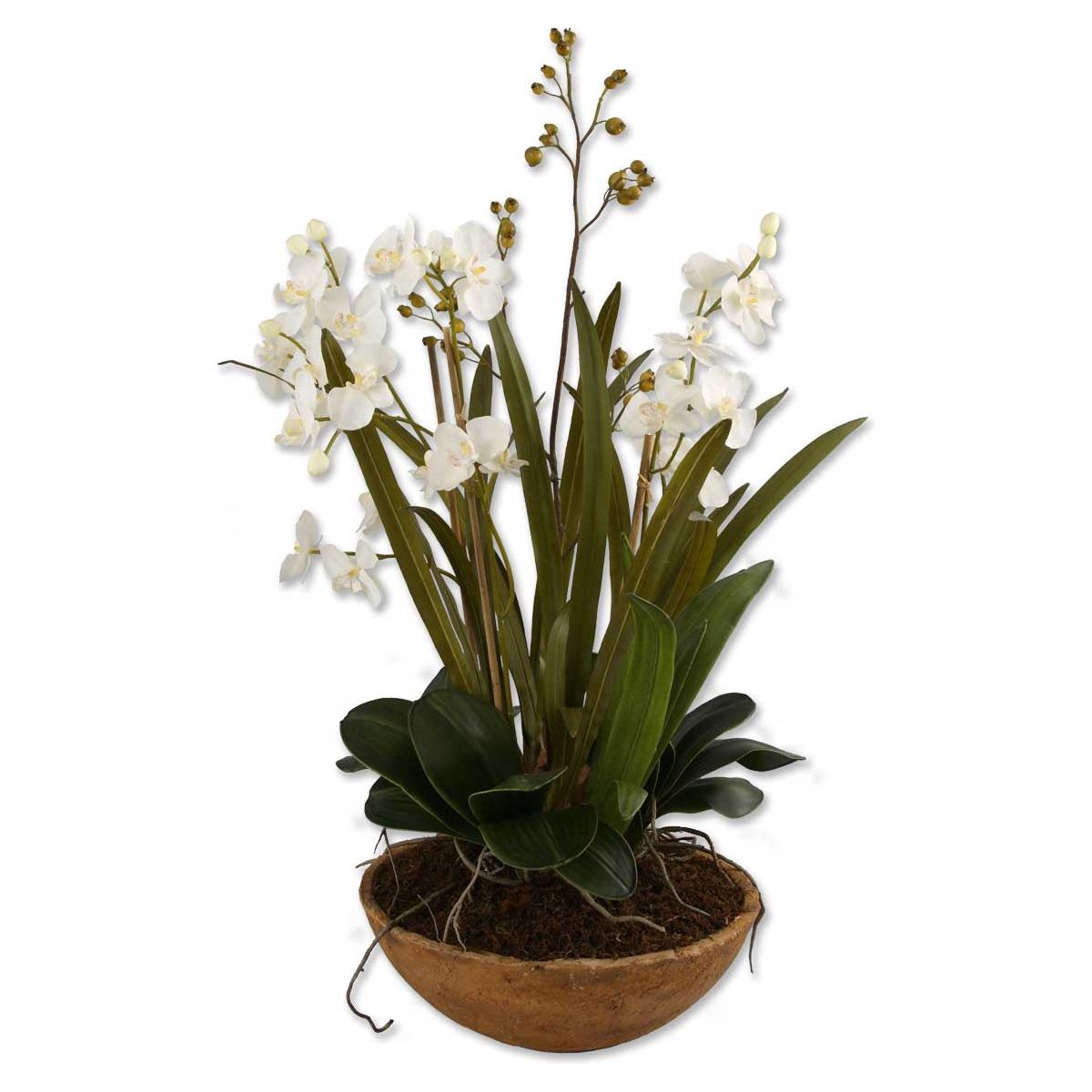 The Uttermost - Moth Orchid Planter - 60039 | Montreal Lighting & Hardware