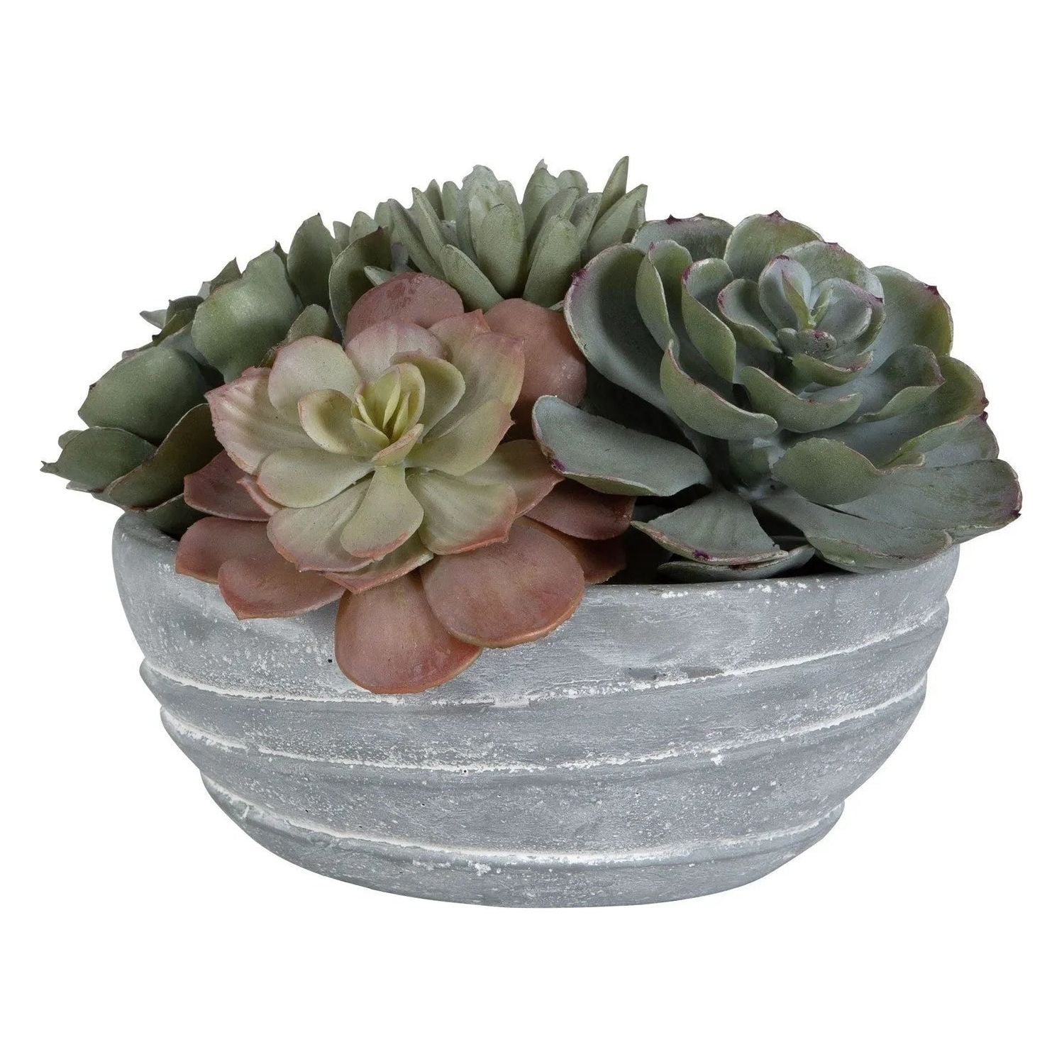 The Uttermost - Peoria Succulent Accent - 60212 | Montreal Lighting & Hardware