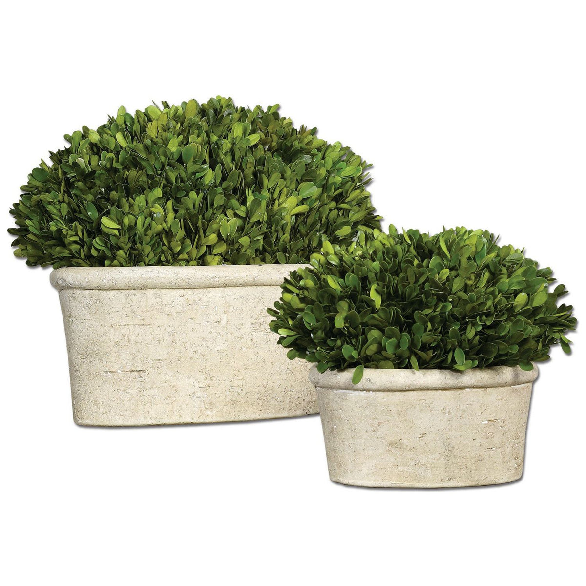 The Uttermost - Preserved Boxwood Preserved Boxwood Set/2 - 60107 | Montreal Lighting & Hardware